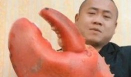 中年大叔直播吃瓜,揭秘娱乐圈幕后真相