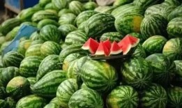 小瘶瓜怎么吃,解锁美味新体验