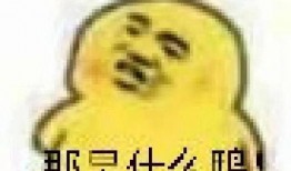 聊天表情吃瓜,揭秘聊天表情背后的趣味与内涵