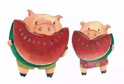 猪子吃瓜,趣味横生的田园生活瞬间