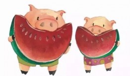 猪子吃瓜,趣味横生的田园生活瞬间