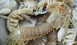 青州吃瓜视频,一场别开生面的乡村盛宴