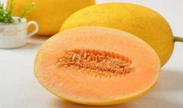 吃哈密瓜肠胃,肠胃健康的甜蜜守护