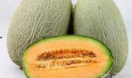 吃哈密瓜哭,揭秘吃瓜时的奇妙情感之旅