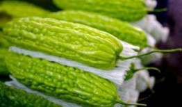 孕妇吃瓜补什么,补充营养的秘密