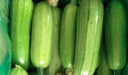 西葫芦瓜整条煮着吃,西葫芦瓜整条煮食新体验