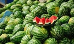 吸的吃的瓜,瓜分生活乐趣