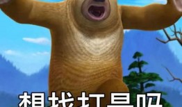 吃瓜表情包熊二,笑料横生的网络潮流