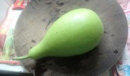 葫芦瓜可以带皮吃?,揭秘带皮食用的健康美味