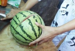 吃瓜游戏喂西瓜,吃瓜游戏中的西瓜盛宴