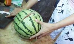 吃瓜游戏喂西瓜,吃瓜游戏中的西瓜盛宴