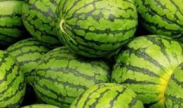 吃瓜内蒙,探寻吃瓜文化的独特魅力