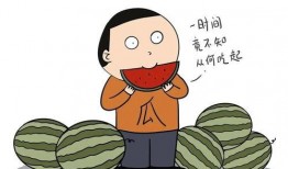 两次吃瓜,两次吃瓜背后的故事揭秘