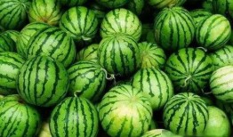 盐城金融城吃瓜,繁华都市中的“吃瓜”盛事