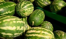 刀小刀吃瓜事件,揭秘网络舆论的狂欢与反思