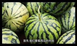 该怎么选择吃瓜,如何挑选美味多汁的瓜果