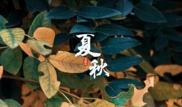 七月吃的瓜终于在八月,八月硕果累累
