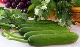 帮你吃密瓜,揭秘美食背后的故事与传承