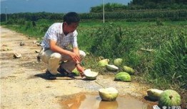 工地吃瓜朋友圈,揭秘工地里的那些趣事与温情