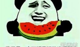 吃瓜的群众们这是什么瓜,揭秘网络热词背后的文化现象