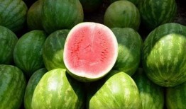 吃瓜游戏喂西瓜,吃瓜游戏中的西瓜盛宴