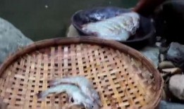 福建小表妹吃瓜,福建小表妹的瓜田奇遇记