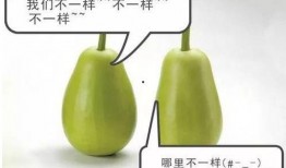 怎么吃瓜不苦,如何品尝瓜果美味，尽享甜蜜时光