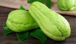 勒泰吃瓜,揭秘娱乐圈背后的那些事儿