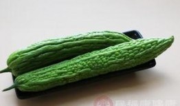 吃凉瓜后拉稀,揭秘夏日消暑美食背后的健康隐患