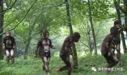 野人女孩吃瓜电影,吃瓜背后的惊悚真相