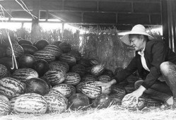 水城广场吃瓜群众视频