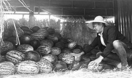 水城广场吃瓜群众视频