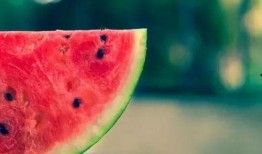 沧海月明吃瓜沉降,探寻吃瓜沉降的奥秘