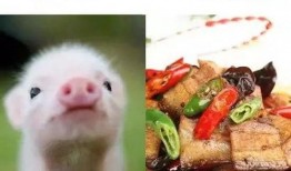 吃瓜的代价,揭秘“吃瓜”背后的代价与影响