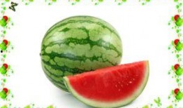 专心吃瓜,聚焦那些引人入胜的“吃瓜”故事