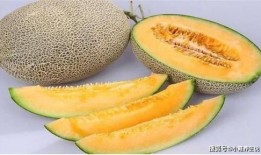 河马吃哈密瓜吐了,意外吐出奇观