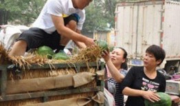 巍山县吃瓜事件视频,一场引发热议的网络风波