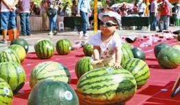 每日大赛吃瓜入口 在线,轻松掌握热门赛事精彩瞬间