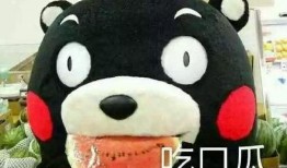 形容吃瓜的话,品味生活，畅享瓜香时光