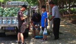 沭阳吃瓜群众案件,网络舆论下的法律边界探讨