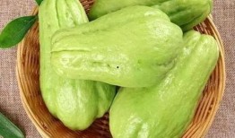 痛风可以吃佛手瓜吗,佛手瓜的适宜食用解析