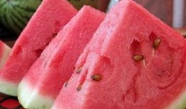 孕妇可以吃紫瓜