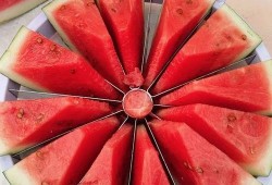 最新吃瓜大赛规则视频,精彩对决，谁将脱颖而出？