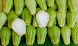 广西佛手瓜怎么吃,广西佛手瓜的多样食法探索