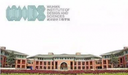 武汉设计学院吃瓜,校园吃瓜指南，揭秘校园热点事件