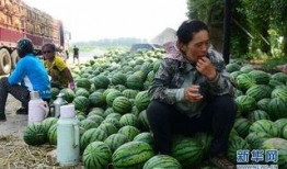 巍山县吃瓜事件视频,一场引发热议的网络风波