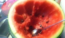 吃偷瓜婆,一场别开生面的夏日奇遇