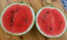 边摸手边吃瓜,夏日悠闲生活新风尚