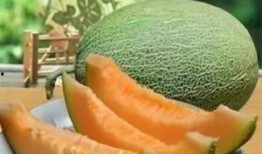 吃了哈密瓜吃西瓜,西瓜续写甘甜之旅