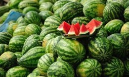 蚌埠吃瓜事件视频,一场网络热议的街头冲突瞬间